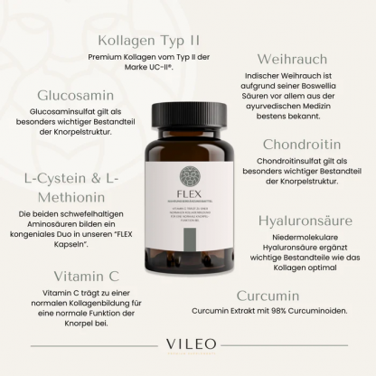 Vileo Flex